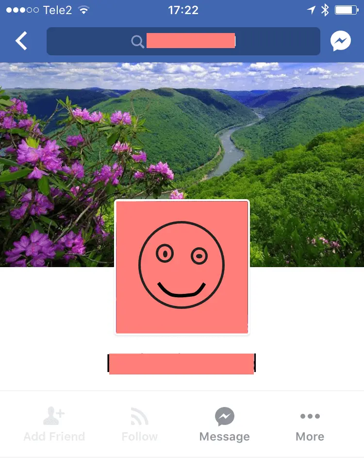 Facebook profile, anonymised with childlike drawing of smiley