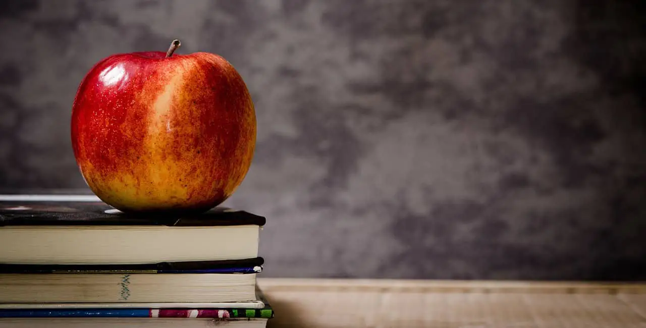 Apple on top of school books. Photo.