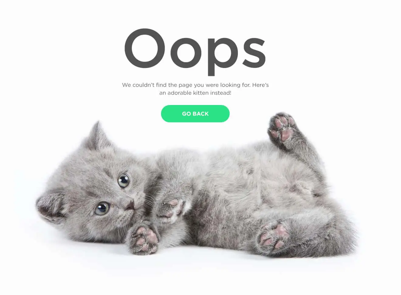 404 page with error message "We couldn't find the page you were looking for. Here's an adorable kitten instead."