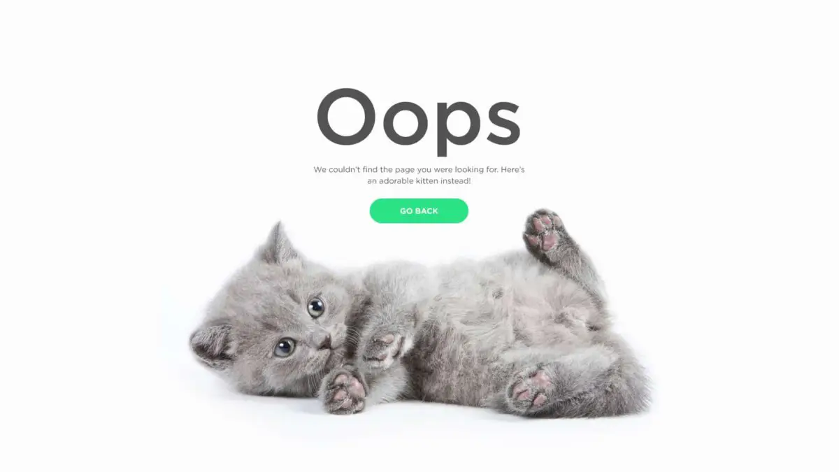 404 page with error message "We couldn't find the page you were looking for. Here's an adorable kitten instead."