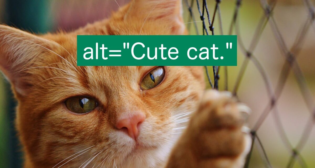 Cat image with text: alt="Cute cat."