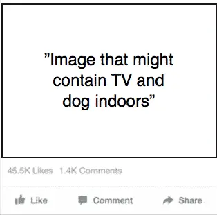 Facebook feed with big empty whitespace where the image is supposed to be, text: "Image that might contain TV and dog indoors”