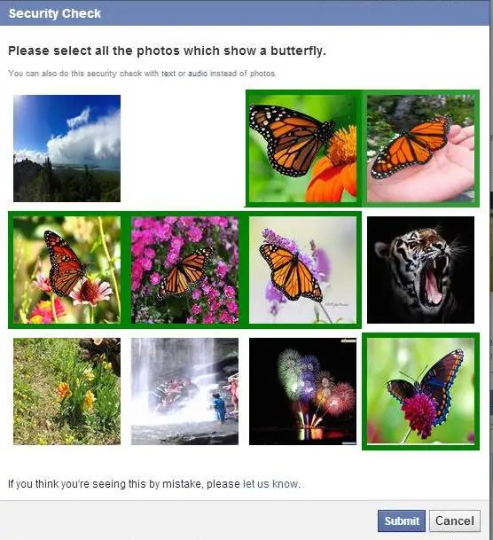 Facebook Captcha, "Click the images with butterflys."