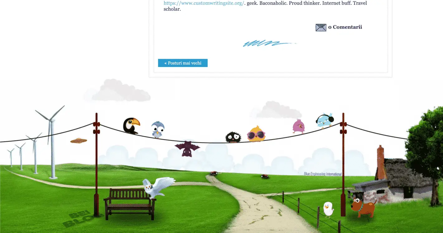 Cute footer with illustrated birds sitting on a telephone wire over a gravel path.