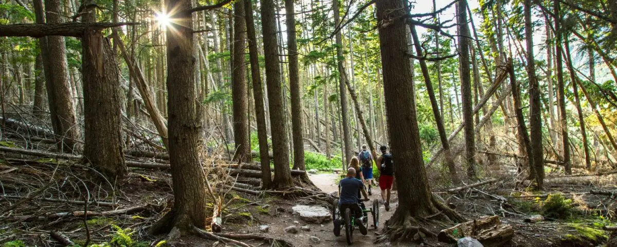 People hiking in forest, photo