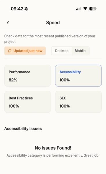 Speed tool where Accessibility is one paramenter, saying 100%. 